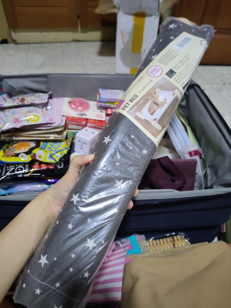 Daiso Cat Pet Bed, Pet Supplies, Homes & Other Pet Accessories on Carousell