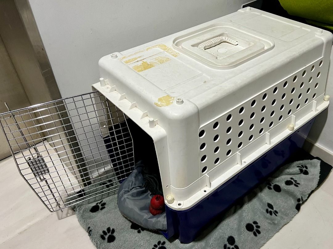 Dog Crate PP40, Pet Supplies, Homes & Other Pet Accessories on Carousell