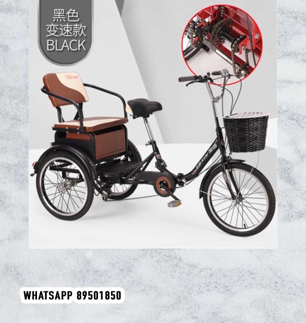 Tricycle with child seats on shop front