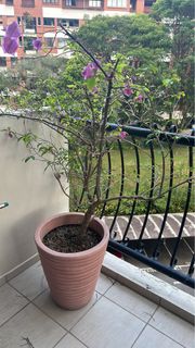 (Category: ) located in . Submitted by sheena1985 (Listing ID 1221042091, Image 1). Description: .