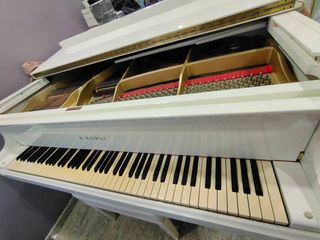 (Category: ) located in . Submitted by absolutemusicsvcs (Listing ID 1221055428, Image 1). Description: .