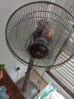 (Category: ) located in . Submitted by clara1020000 (Listing ID 1220901479, Image 1). Description: .
