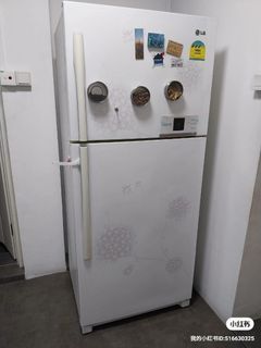 LG 423 L 2-door fridge