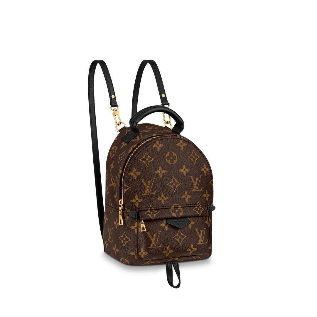 Louis Vuitton Womens Backpack  Chelsey Teks Closet