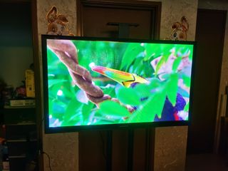 (Category: ) located in . Submitted by lily15 (Listing ID 1221032808, Image 1). Description: .