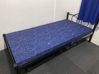 Single Bed w/ pull out & 2 original uratex foams