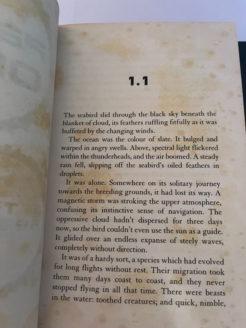 Storm Thief by Chris Wooding, Hobbies & Toys, Books & Magazines