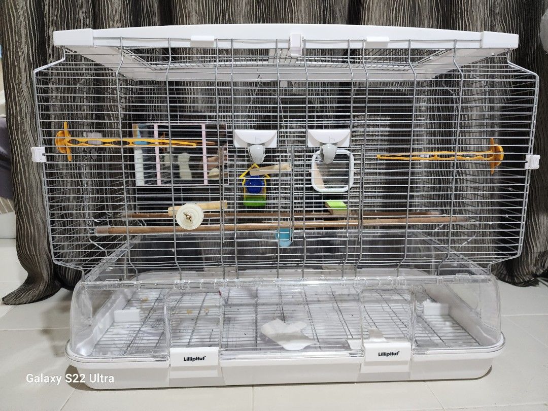 Vision Bird cage, Pet Supplies, Homes & Other Pet Accessories on Carousell