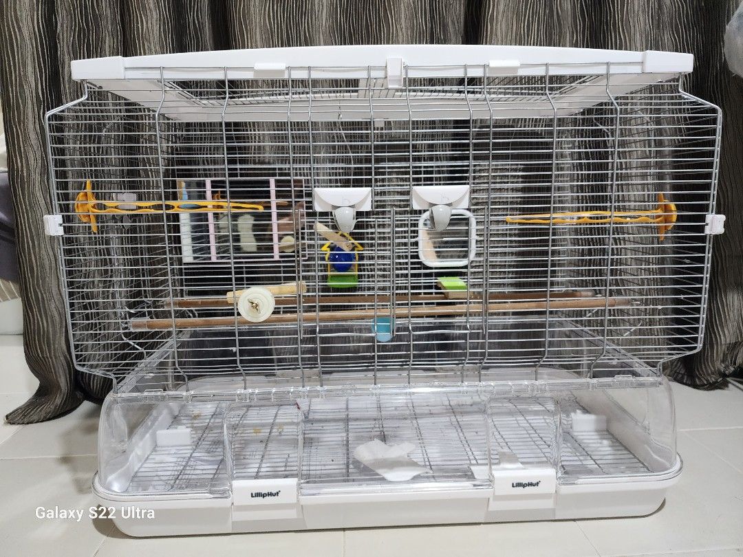 Vision Bird cage Pet Supplies Homes Other Pet Accessories on Carousell