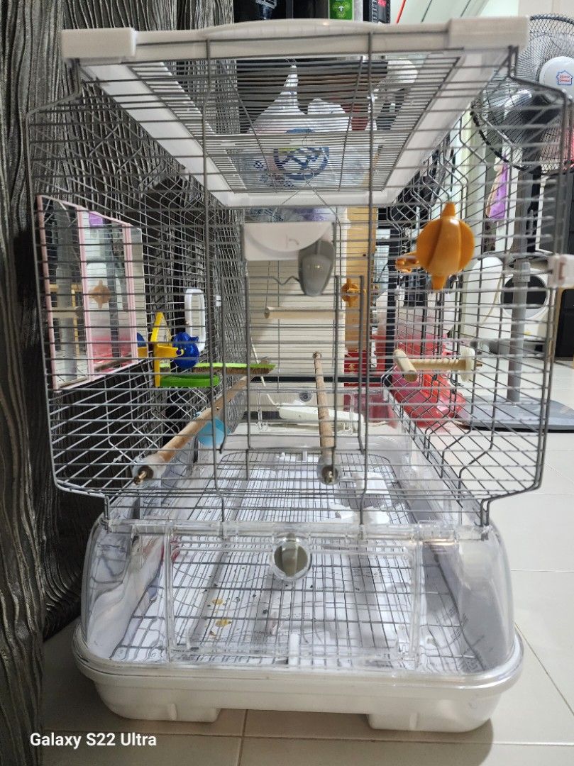 Vision Bird cage, Pet Supplies, Homes & Other Pet Accessories on Carousell