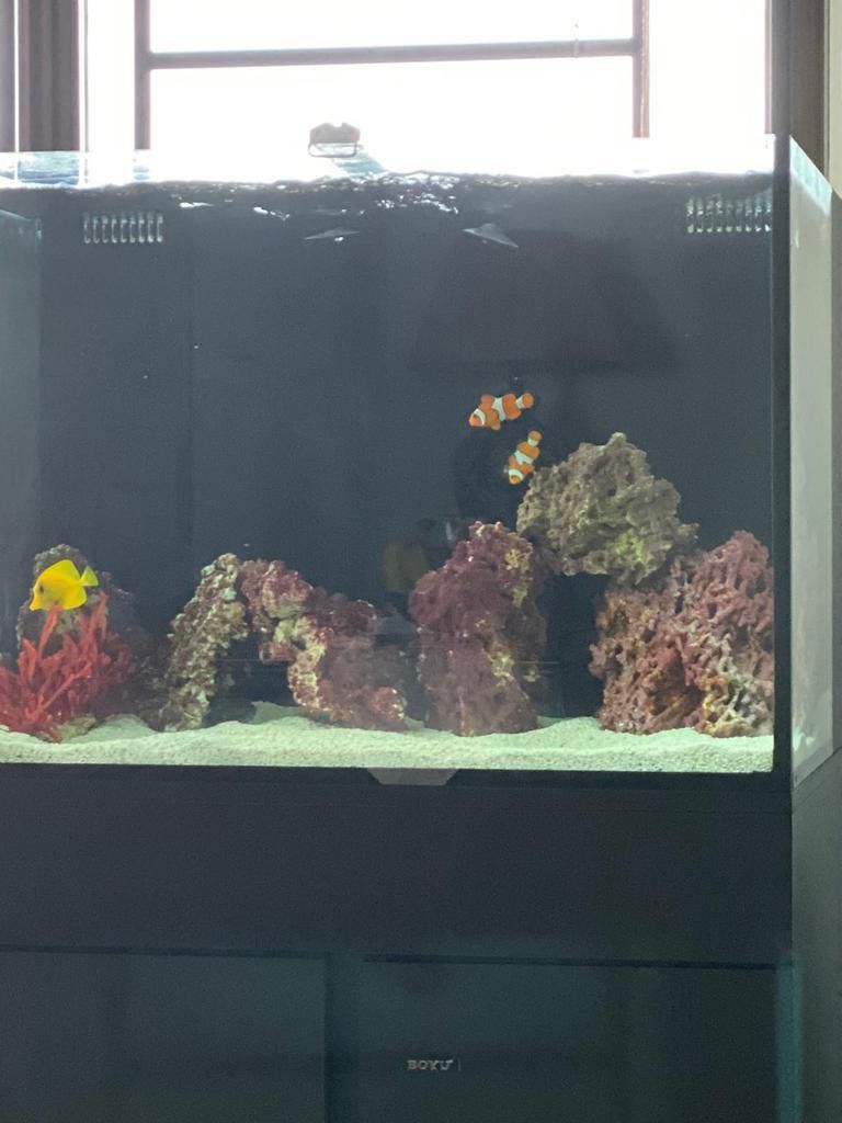 150l fish tank discount