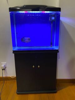 Moulded aquarium tank shop