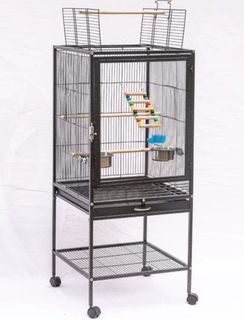 Parrot Cage. $3 Parrot Toys !!! And 20% off 1kg Sunflower seeds with purchase of Front Acrylic hammerspray parrot cage. Bird Cage $138 and $148 respectively.
