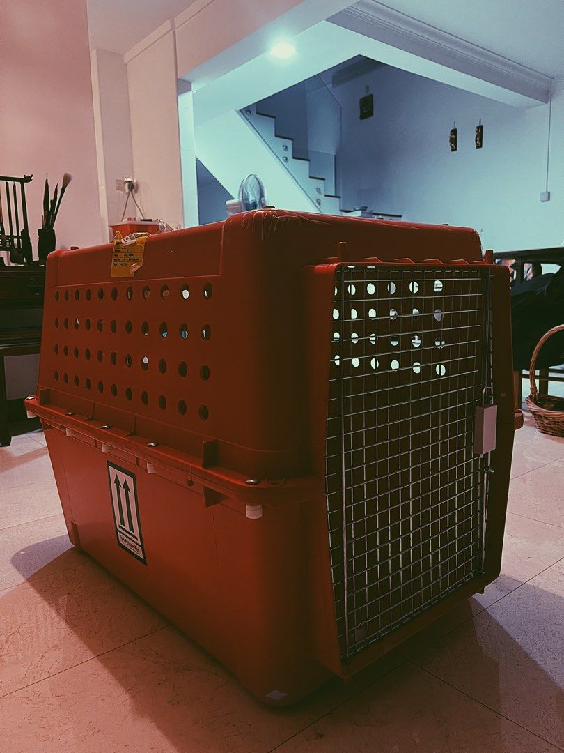 Airline Approved Pet Traveler Crate (Large) Airline Approved, Pet ... - Pet Traveler Airline