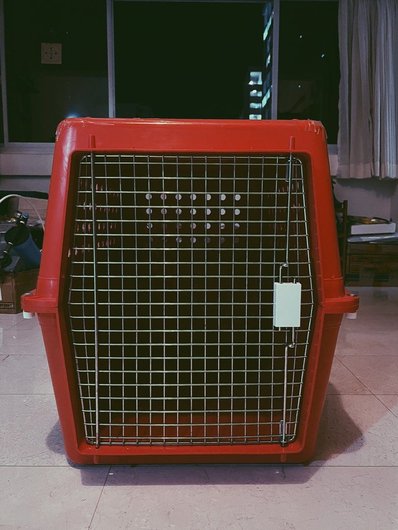 Image showcasing Airline Approved Pet Traveler Crate (Large) Airline Approved, Pet ...
