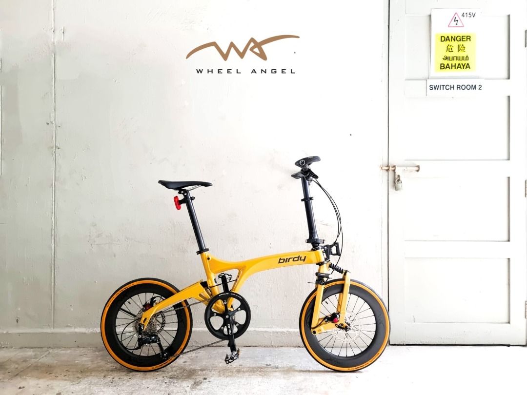 Birdy Carbon Wheelset (Custom Birdy disc / rim brake wheels), Sports ...