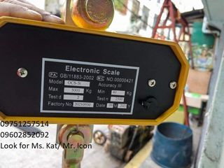 Crane Scale