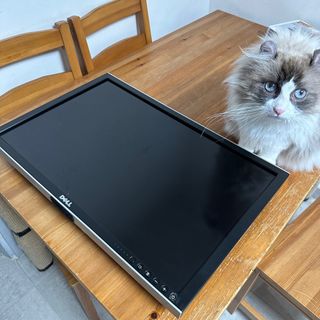 （分類：）位於 。 由 simon.wong 提交（商品編號 1221218828，圖片 1）。簡介： 。