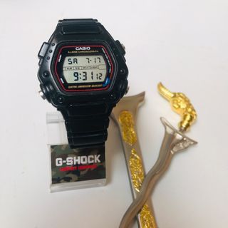 dw290 casio digital watch
