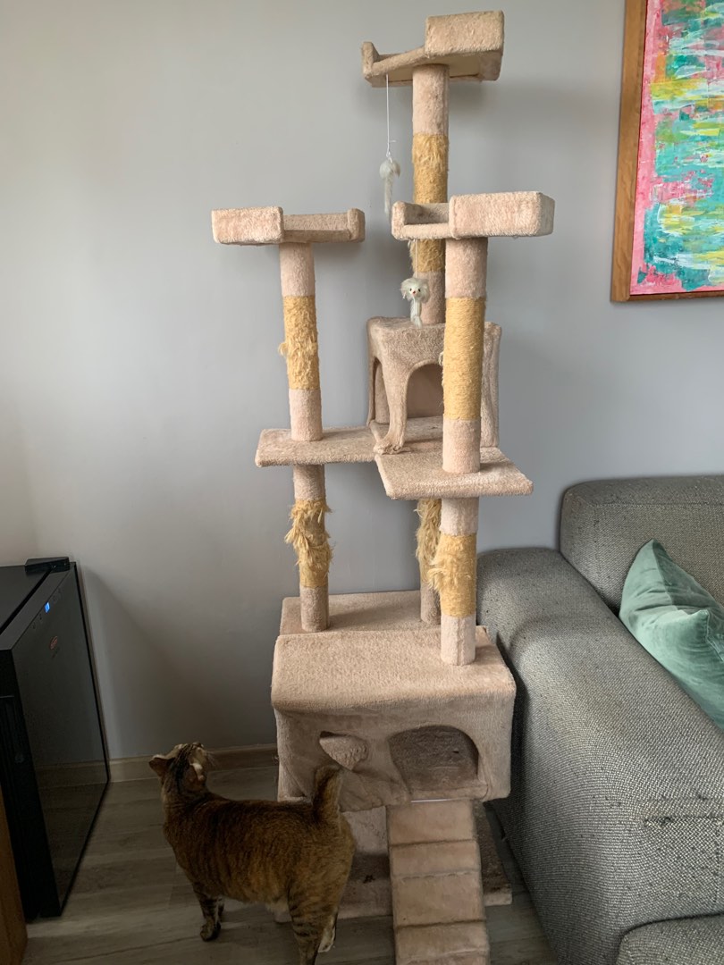 Free store cat tower
