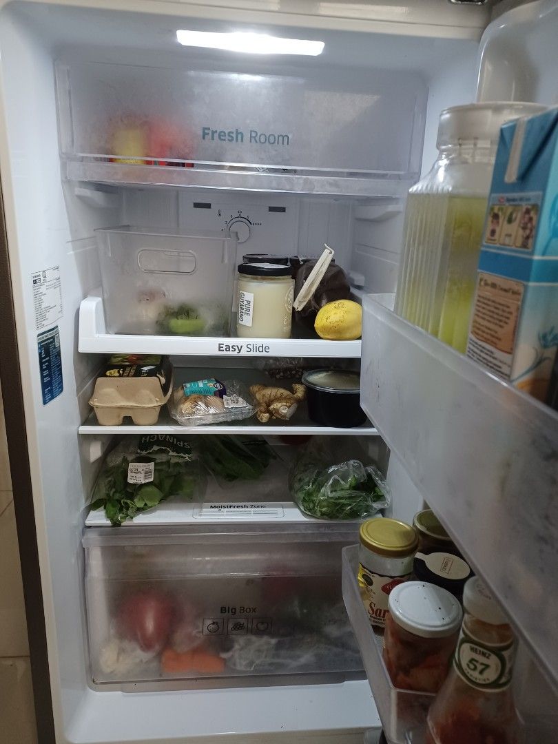 Frost Free Refrigerator and Frizer, TV & Home Appliances, Kitchen