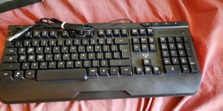 (Category: ) located in . Submitted by sdm0611 (Listing ID 1221150222, Image 1). Description: .