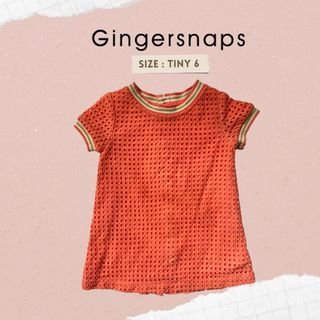 Gingersnaps dress tiny 6