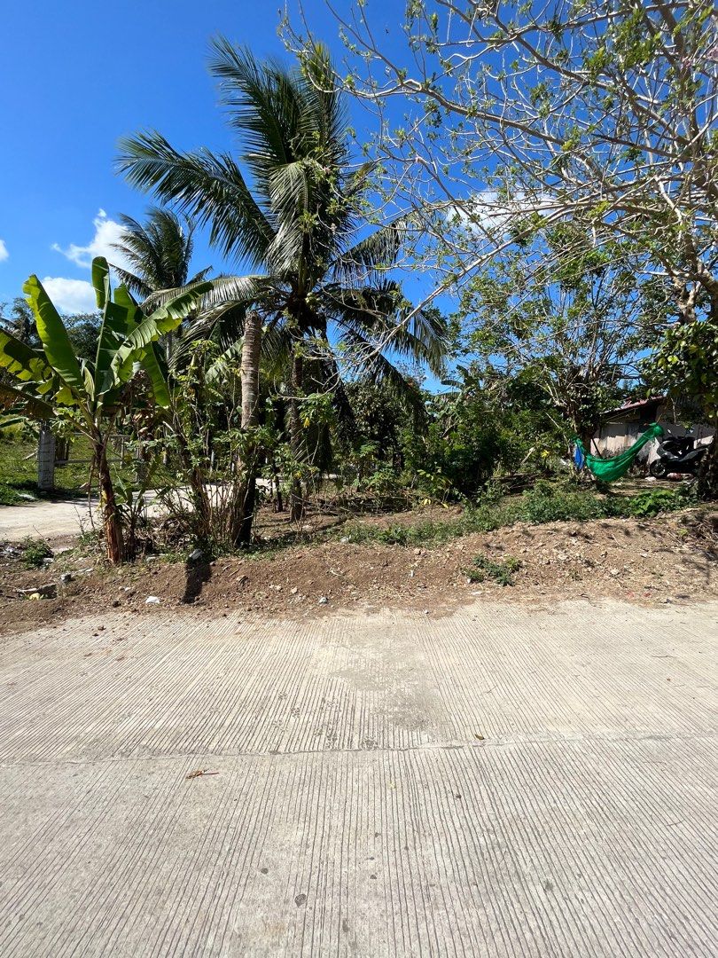 Residential lot in Silang Cavite 5k/sqm on Carousell