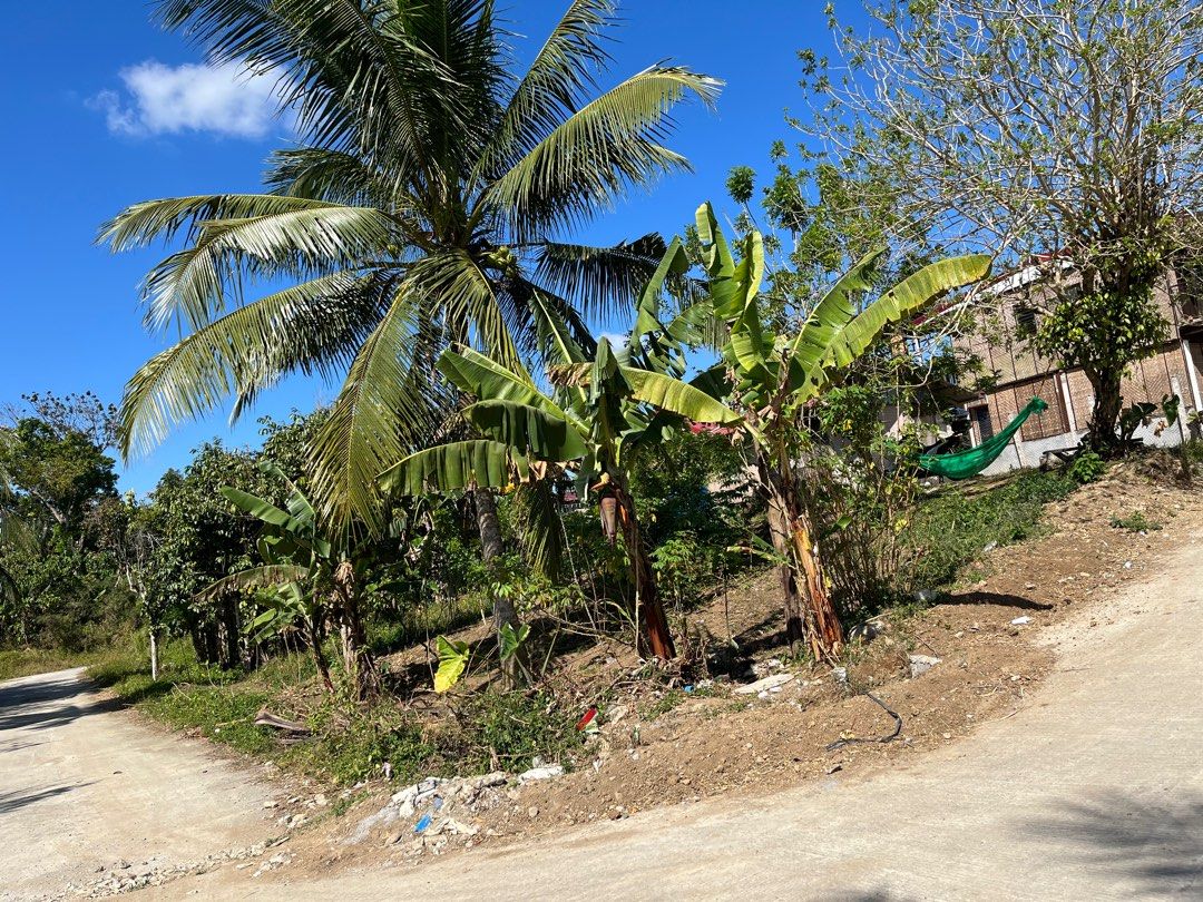 Residential lot in Silang Cavite 5k/sqm on Carousell