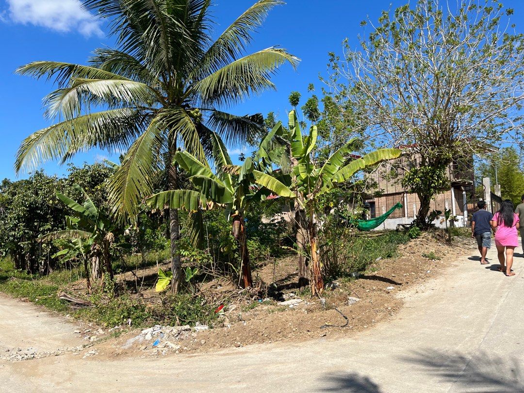 Residential lot in Silang Cavite 5k/sqm on Carousell