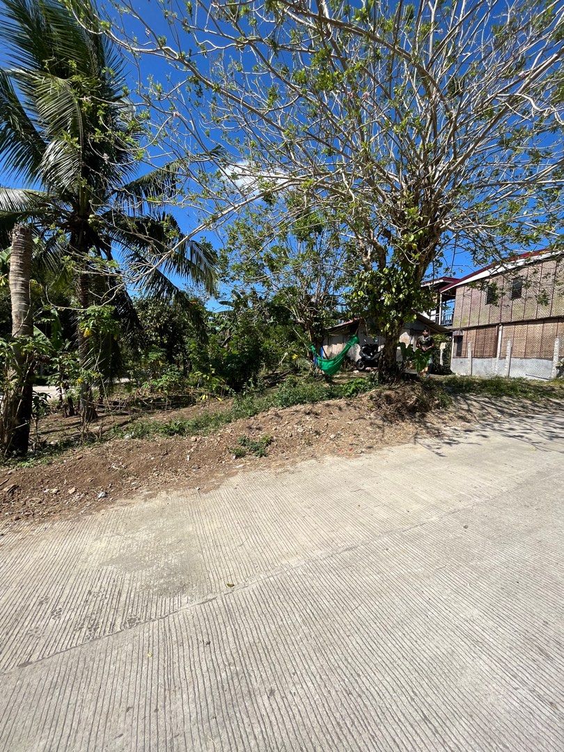 Residential lot in Silang Cavite 5k/sqm on Carousell