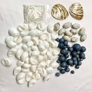 Shell and Wooden Beads