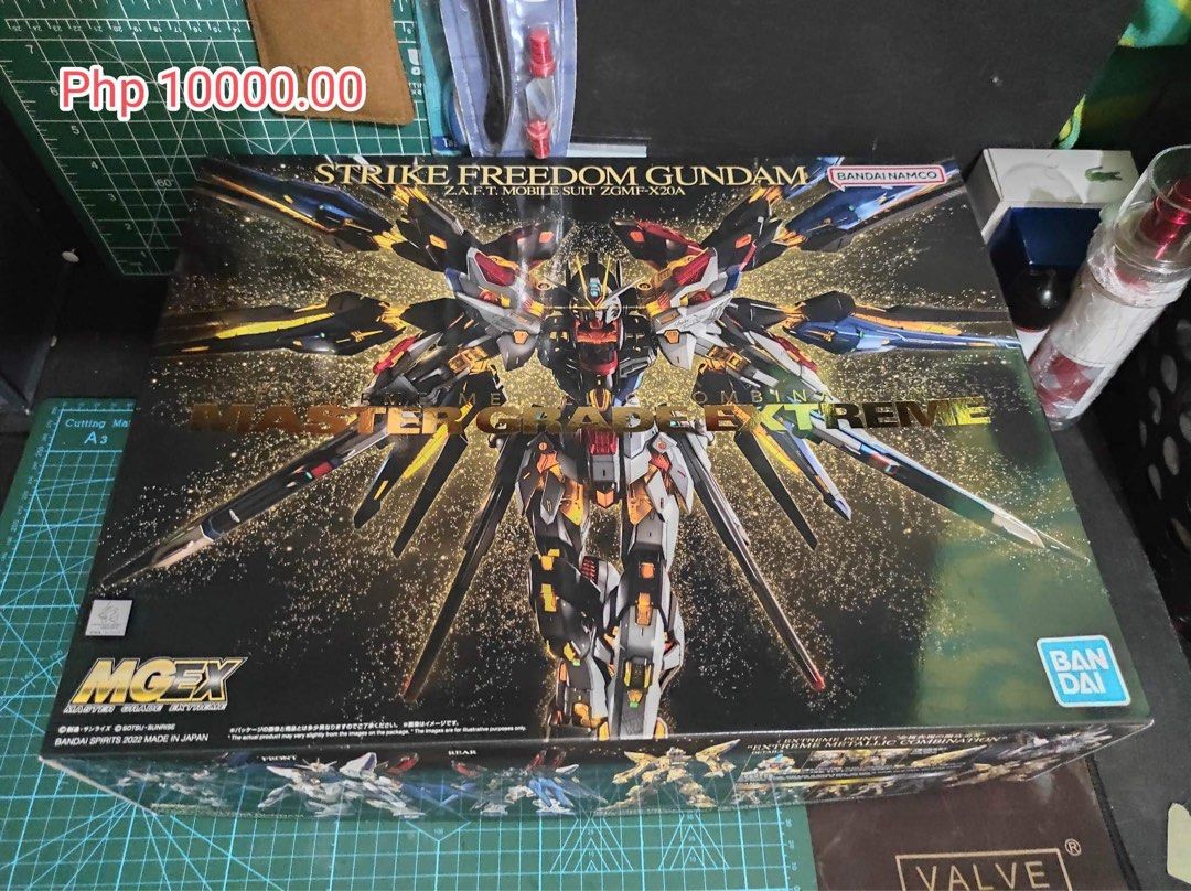 Strike Freedom Gundam Master Grade Extreme GunPla, Hobbies & Toys