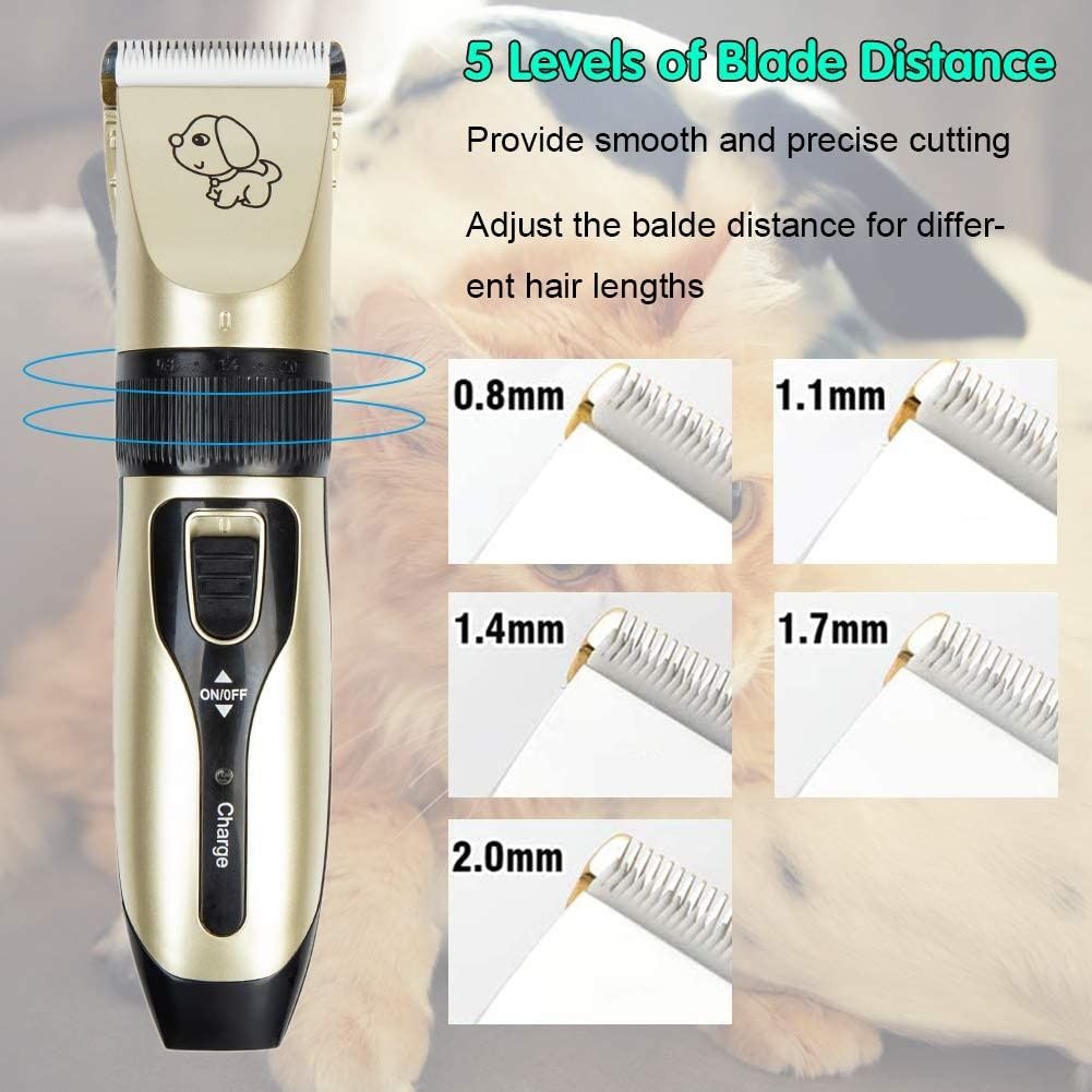 2nd hand dog rigiht grooming equipment