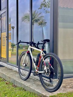 WTT/WTS Niner RLT 9 Steel