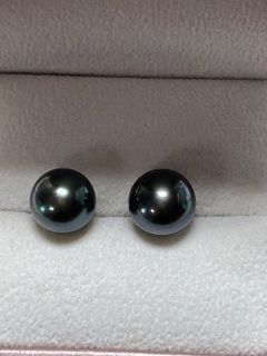 11.2mm Tahitian pearl g18k gold stud earrings