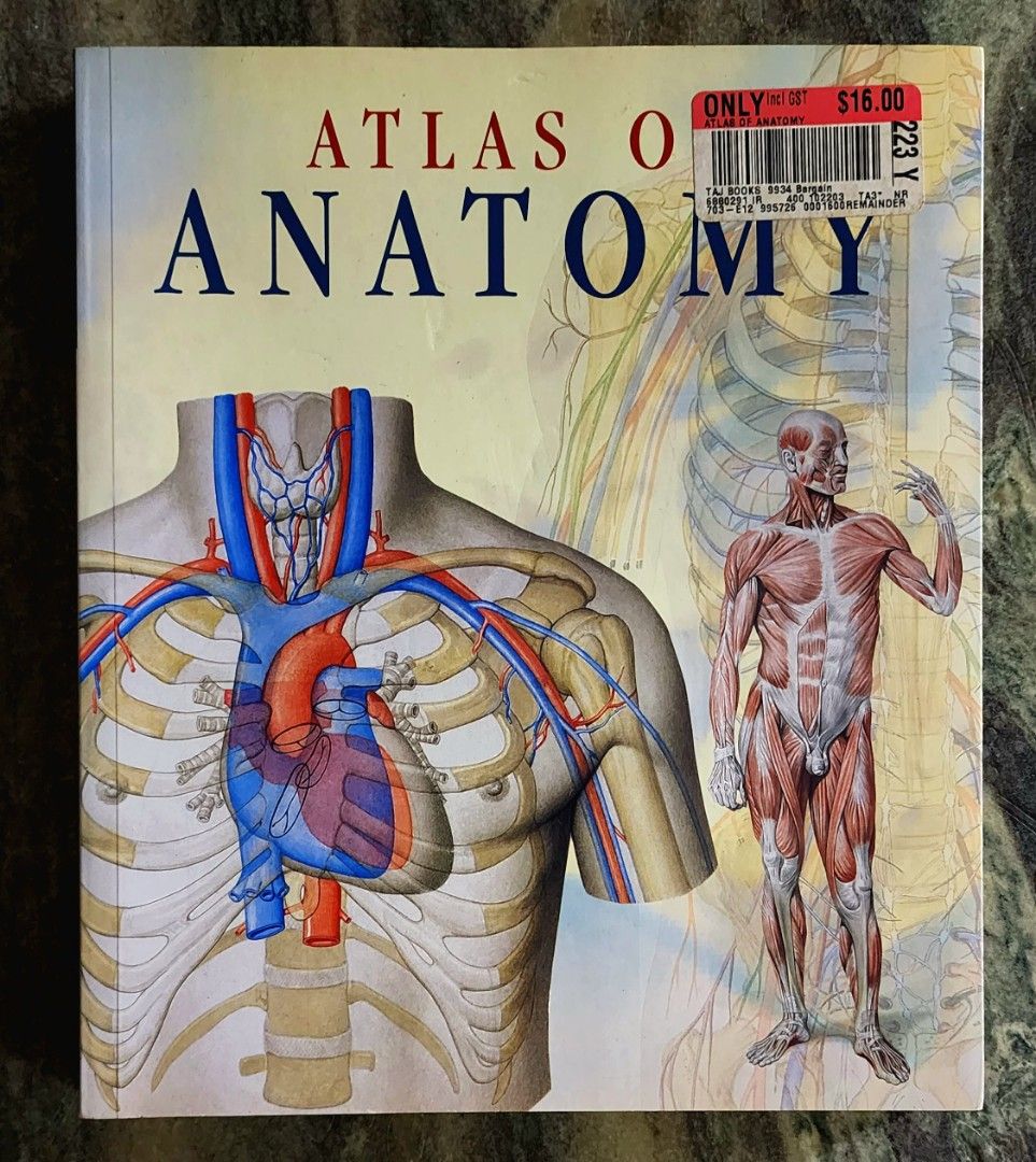 Atlas Of Human Anatomy Everything Else On Carousell 