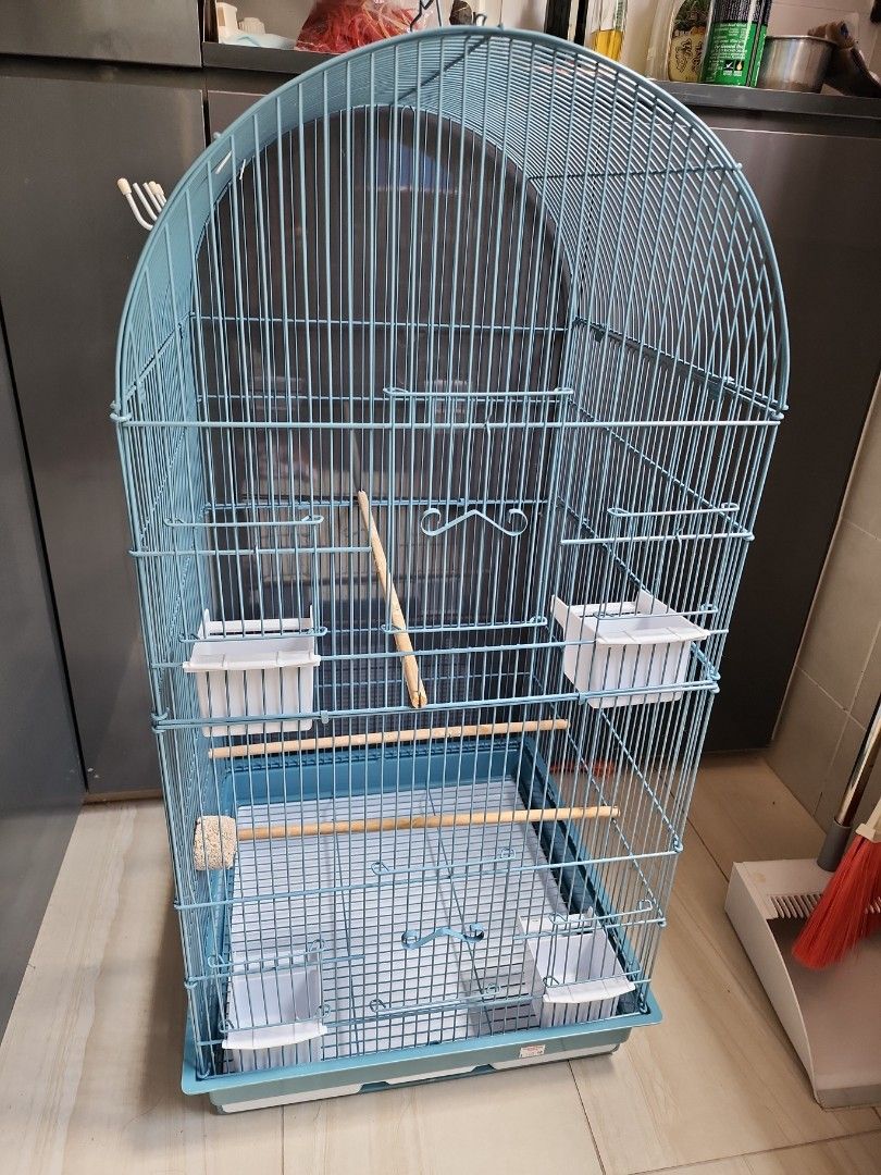Bird cage for sale, Pet Supplies, Homes & Other Pet Accessories on