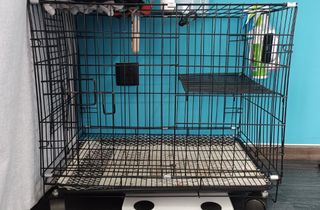 (Category: ) located in . Submitted by Any_N_Everything (Listing ID 1221342399, Image 1). Description: .