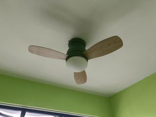 Ceiling Fan