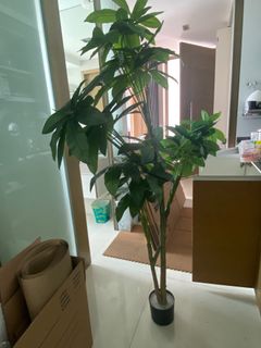 (Category: ) located in . Submitted by kazuki103 (Listing ID 1221280905, Image 1). Description: .