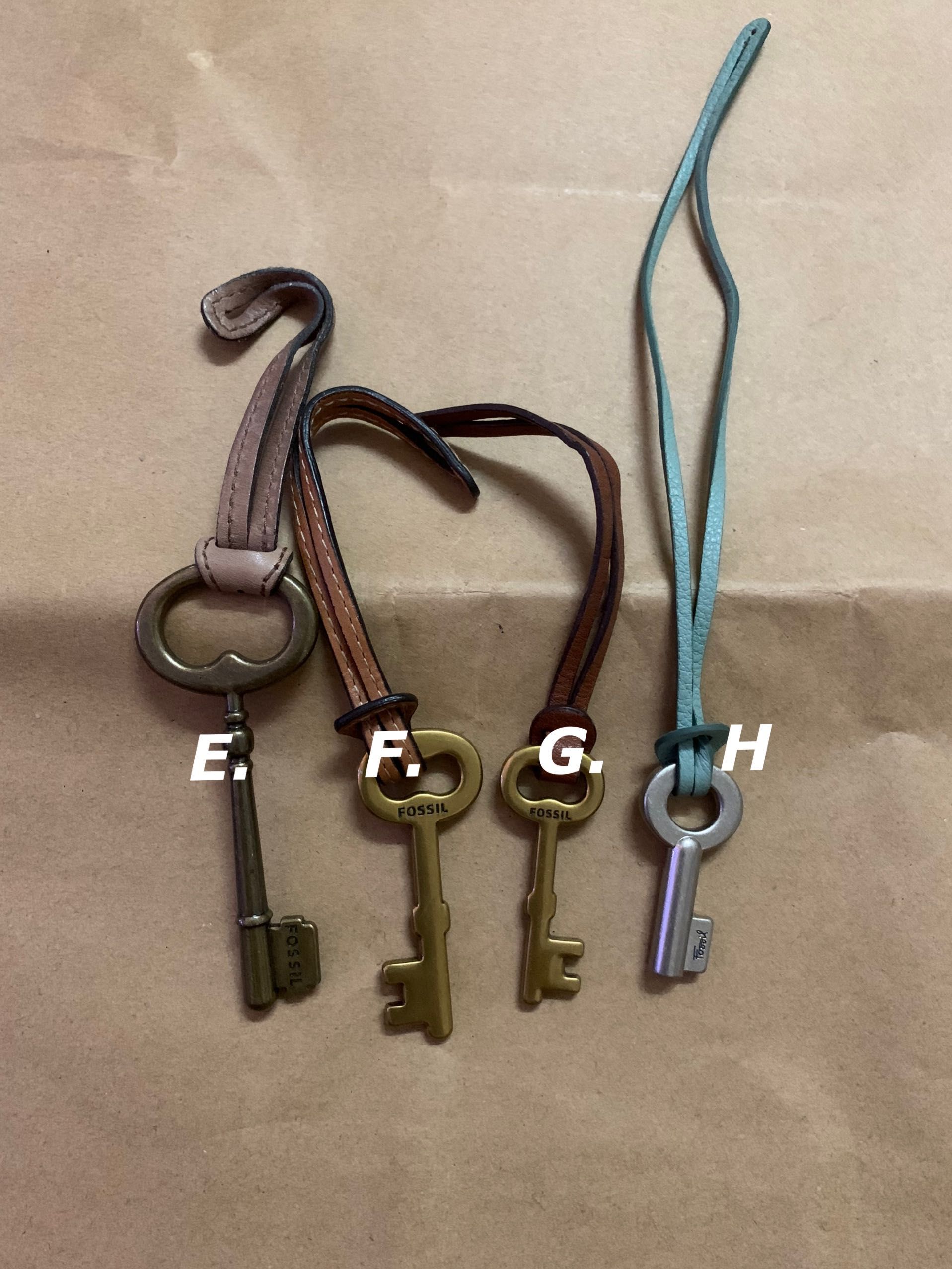 Fossil store key charm