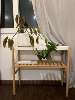 IKEA SATSUMAS Planter Shelf