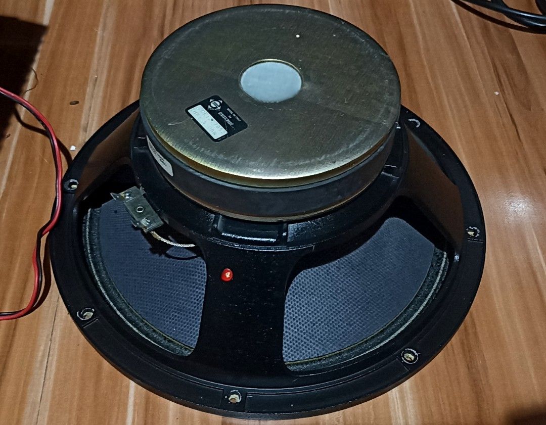 LEM 12' Active Subwoofer SPS/A (Rare), Audio, Soundbars, Speakers