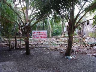 Lot for sale tabing dagat