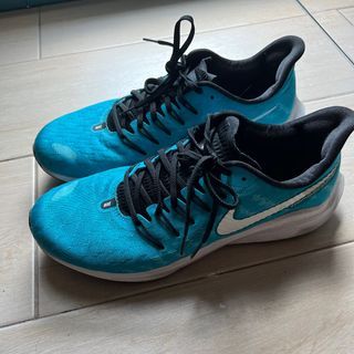 Nike Zoom Vomero Running Shoes