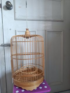 Puteh/finch cage