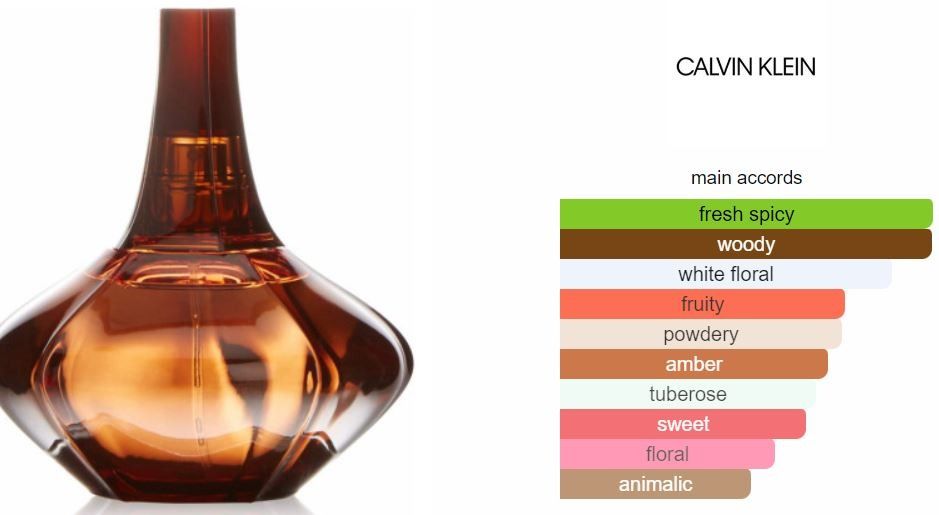 Secret obsession calvin 2025 klein