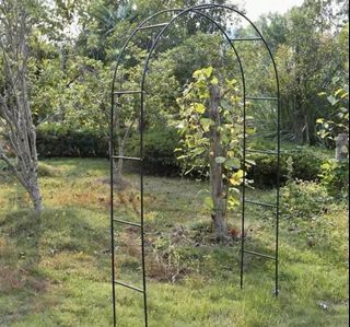 Strong Metal Support Trellis