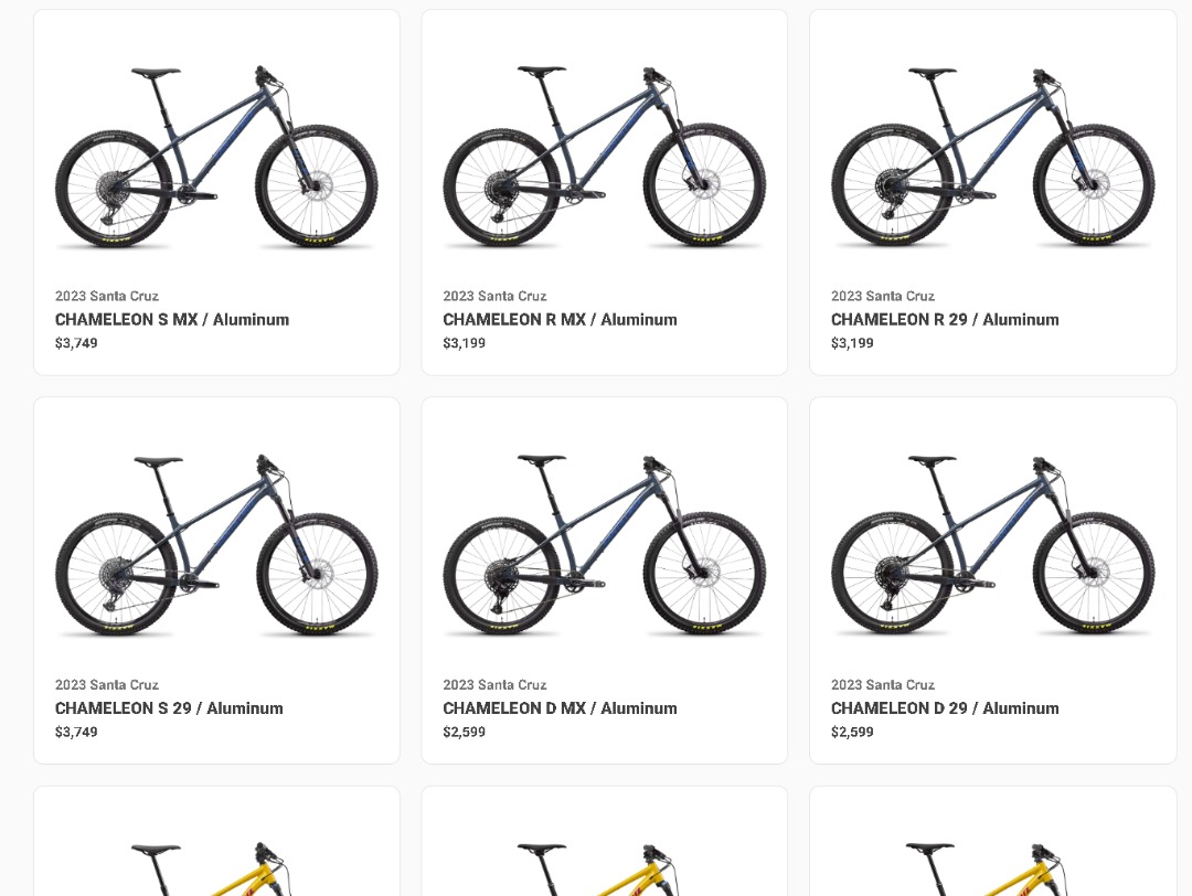 Santa cruz store chameleon r 29